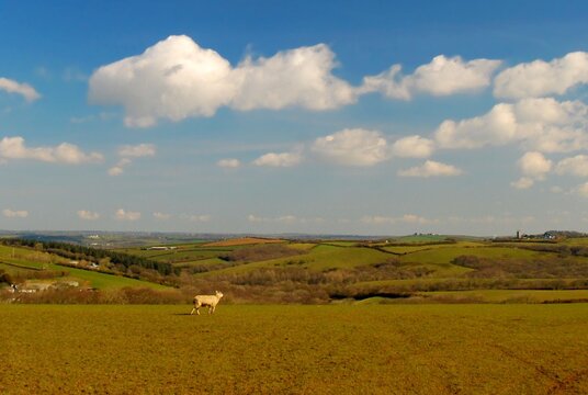 View of Week St Mary from near South Dinnicombe