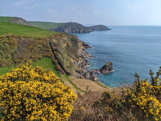 View towards Black Head