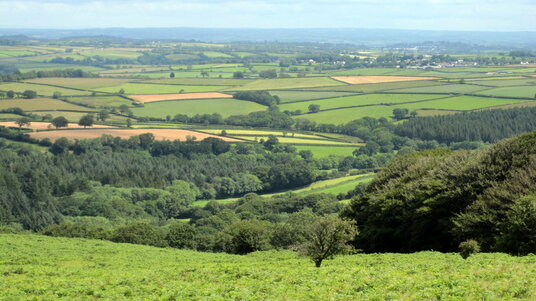 View from East Moor towards Lewannick