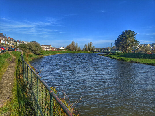 River Camel at Wadebridge