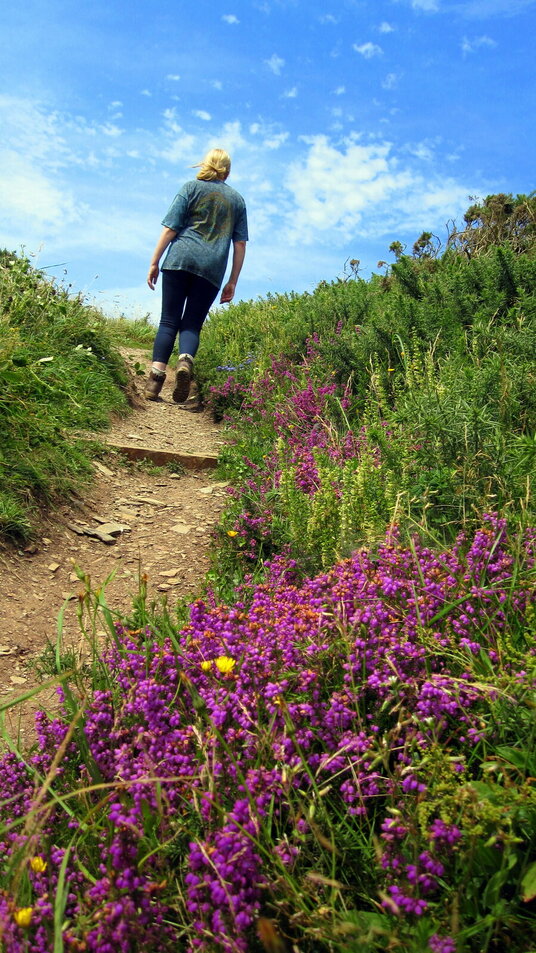 Coast path at Tregardock