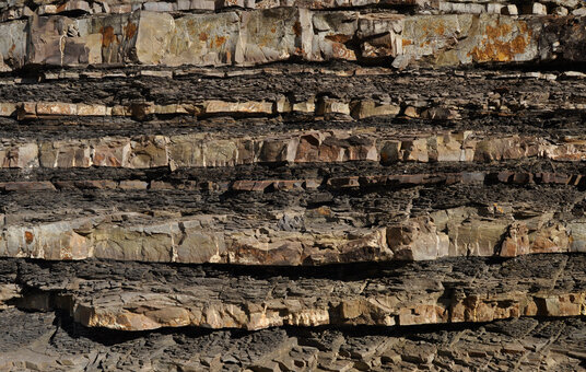 Fossil beds at Wanson Mouth
