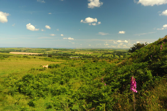View from Warbstow Bury
