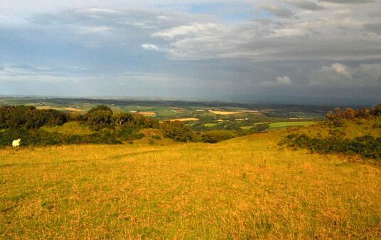 View over Warbstow Bury