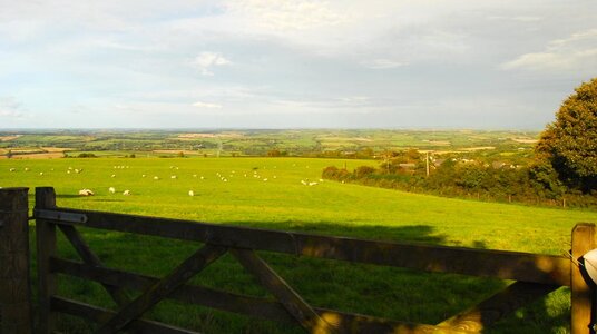 Countryside around Warbstow