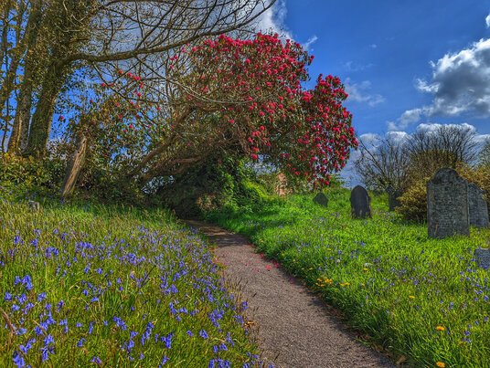 Warleggan Churchyard