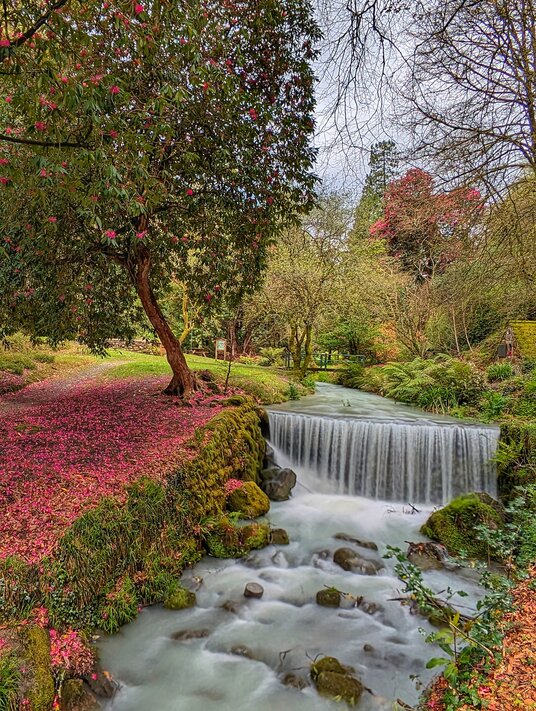 Waterfall by Menacuddle Well