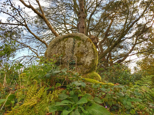 Wayside Cross near Altarnun