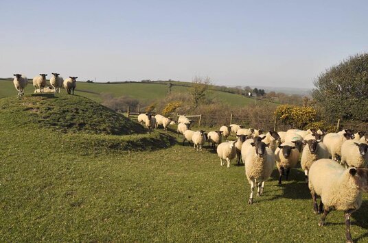 Earthwork well defended