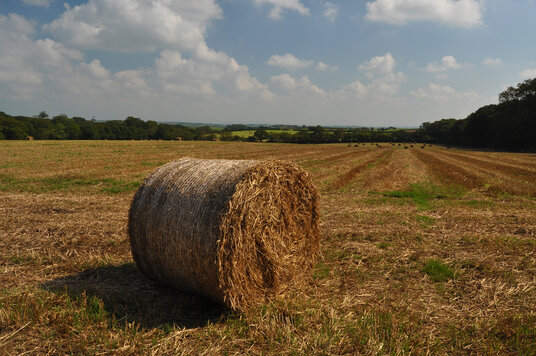 Straw bales near Eggbeare