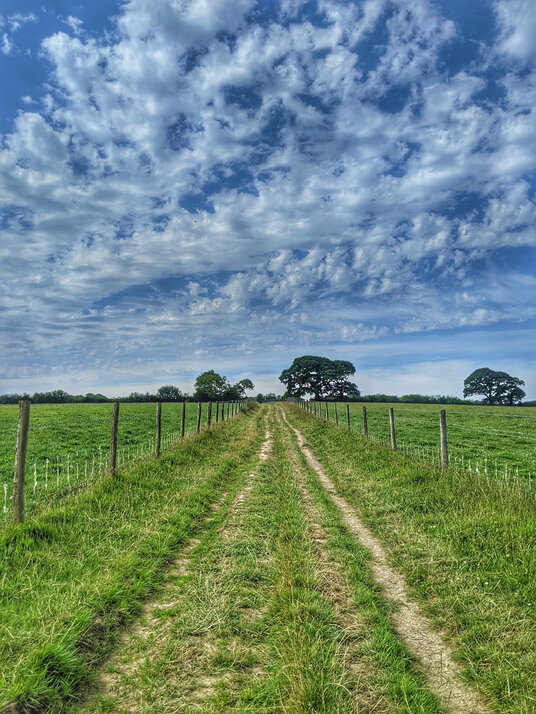 Footpath at Werrington