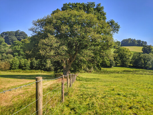 Fields at Werrington