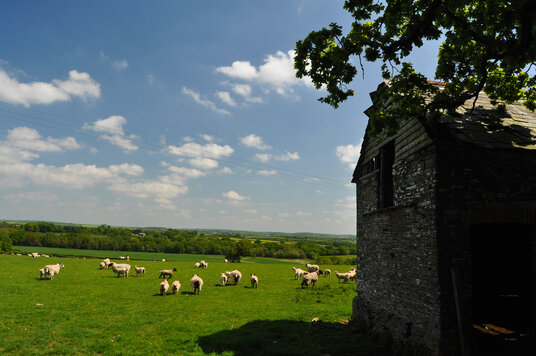 Fields at Werrington