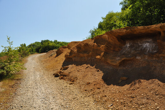 Sandstone at West Chyverton Mine