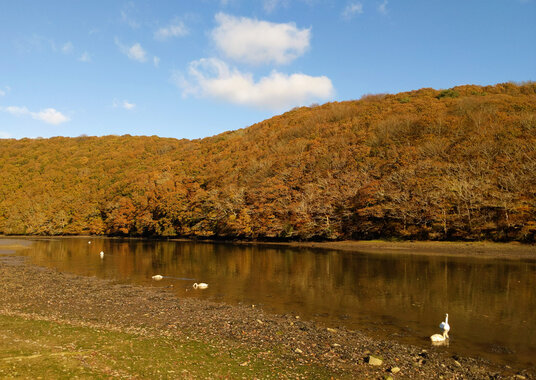 West Looe River