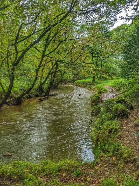 West Looe River
