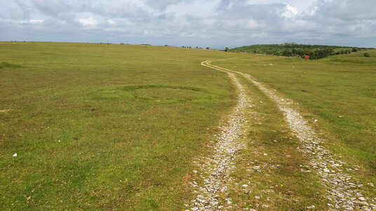 Track on West Moor