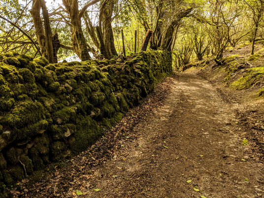 Track to Phoenix United Mines