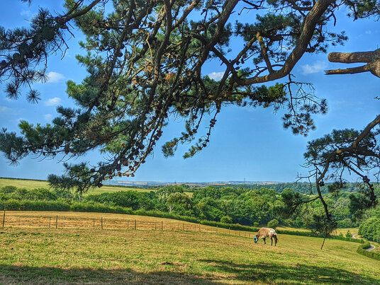 Fields near Wetherham