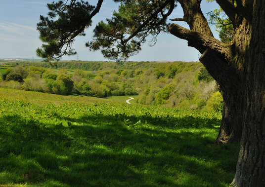 View from the footpath