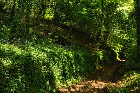 Track from the Manor