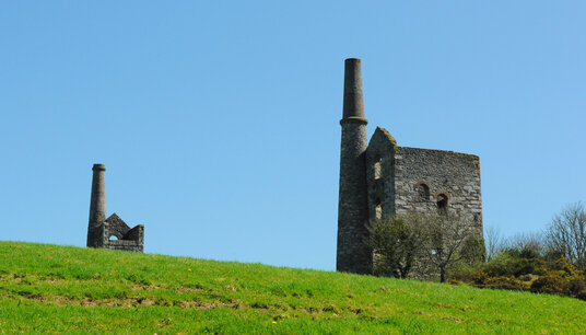 Wheal Unity Wood