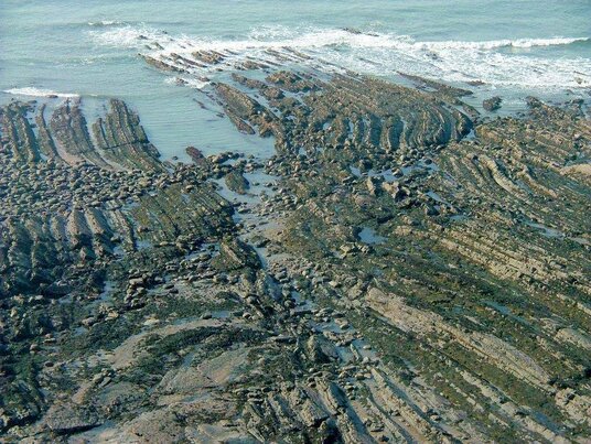 Upended strata at Saltstone Strand