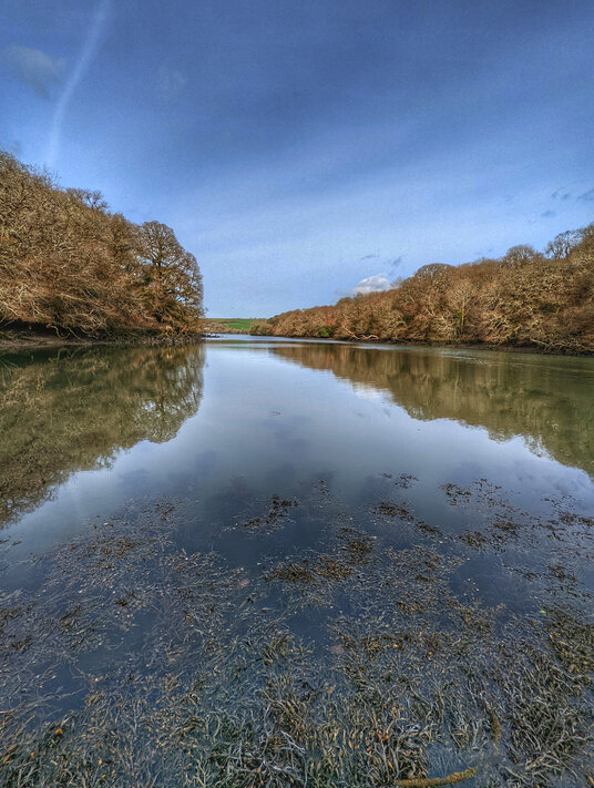 View up Frenchman's Creek 