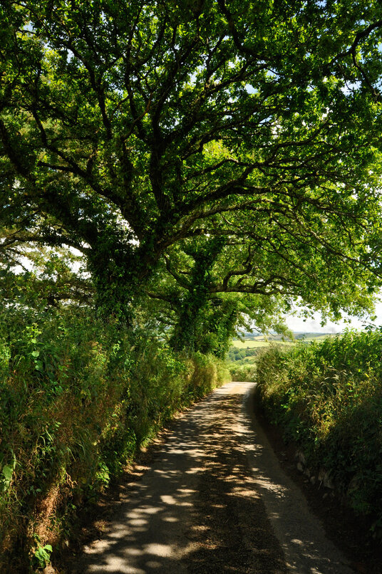 Hill from Withiel into the Ruthern valley
