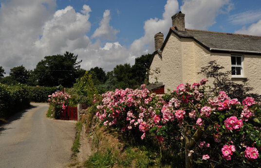 Cottage in Withielgoose