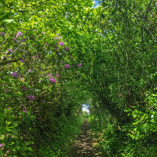 Footpath at Woodford