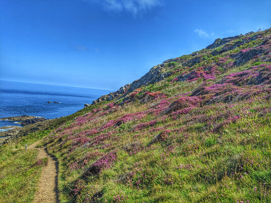 Coast path near Zennor