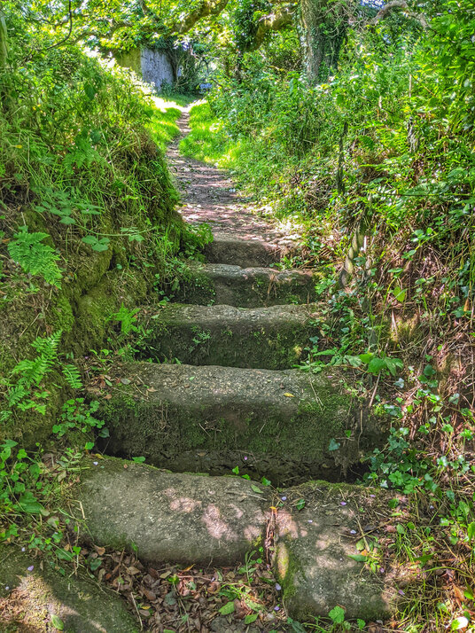 Coffin stile near Zennor