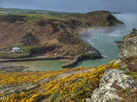 Boscastle Harbour