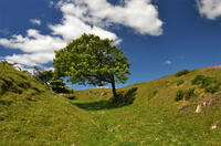 Ramparts of Bury Castle