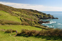 Coastline near Porthluney