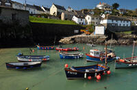 Coverack Harbour