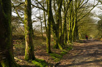 Track from Denis Farm