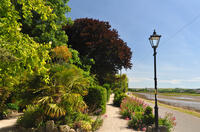 Gardens at Hayle