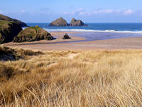 Dunes at Holywell Bay