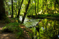 River Lynher