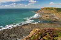 Marsland Mouth