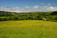 View from Penstowe