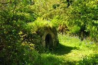 St Breward Holy Well