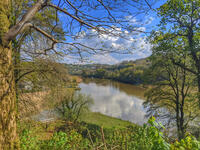 River Tamar