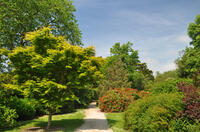 Trelissick Gardens