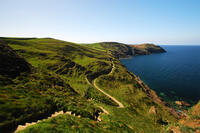 Rollercoaster Path to Port Isaac