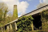 Wenford Driers on the Camel Trail